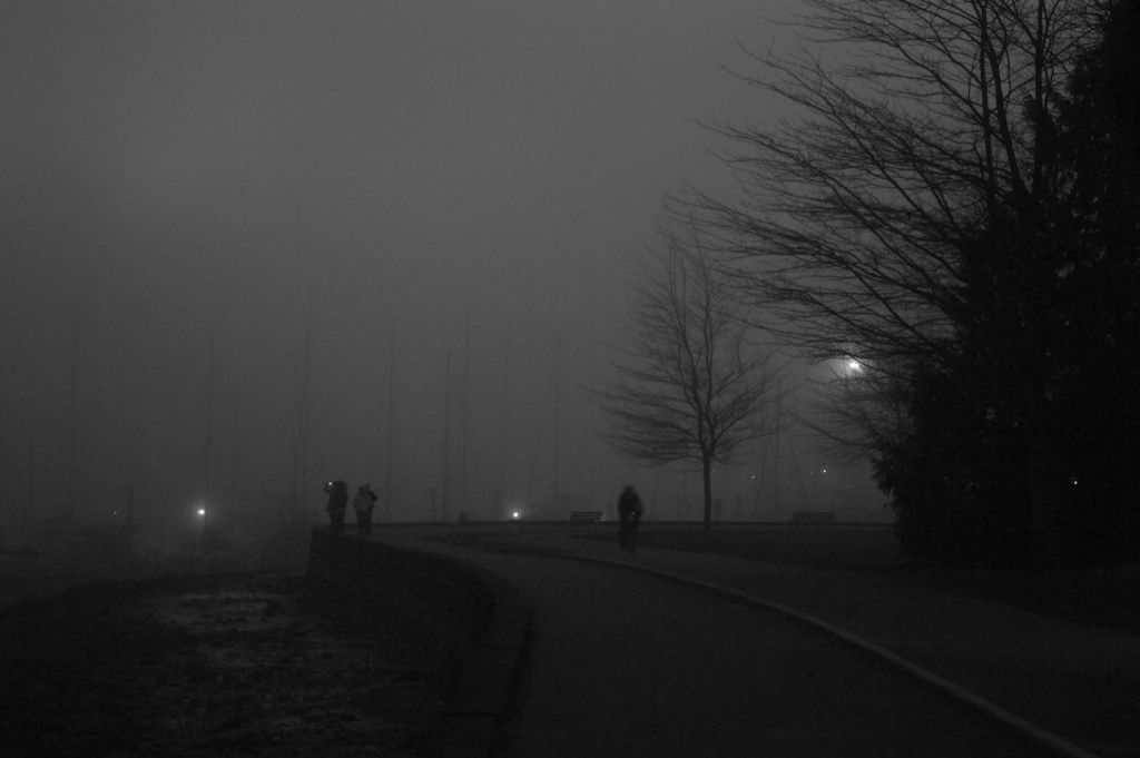 fog-people-jan-25-2014